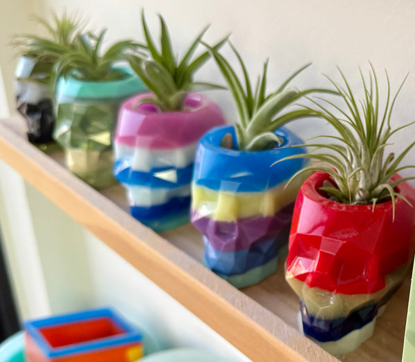 upcycled Resin skulls with air plants