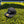 Groovy Rubber Patch Hats