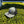 Groovy Rubber Patch Hats
