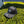 Groovy Rubber Patch Hats