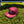 Groovy Rubber Patch Hats